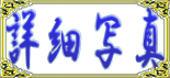 ڍ׎ʐ^